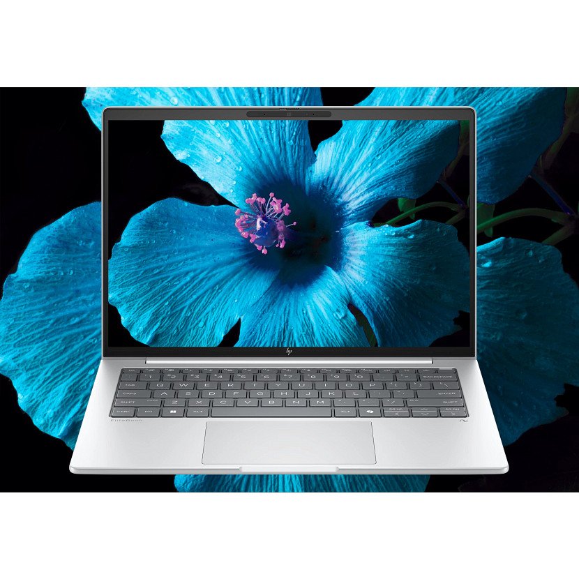 HP INC. HP EliteBook 8 G1a IA Nouvelle génération AMD Ryzen 5 230 14p WUXGA 16Go 256Go SSD UMA W11P Copilot + PC 3/3/0 – Image 3