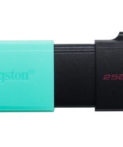 KINGSTON 256Go DataTraveler Exodia M