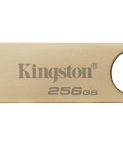 KINGSTON 256Go 220Mo/s Metal USB 3.2 Gen 1 DataTraveler SE9 G3