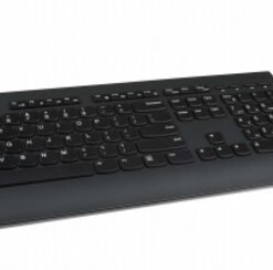Lenovo Professional Combo - Ensemble clavier et souris - sans fil - 2.4 GHz - Français