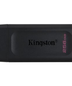 KINGSTON 256Go USB3.2 Gen1 DataTraveler Exodia Black + Pink